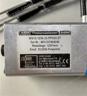 ASM电缆延长传感器WS10-250-420A-L10-SB0-D8 不问归期