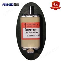 RSM02MZ110TN熔断器订做-FENLONG品牌