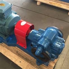 移动齿轮泵 生产出售 齿轮油泵 不锈钢齿轮油泵 欢迎