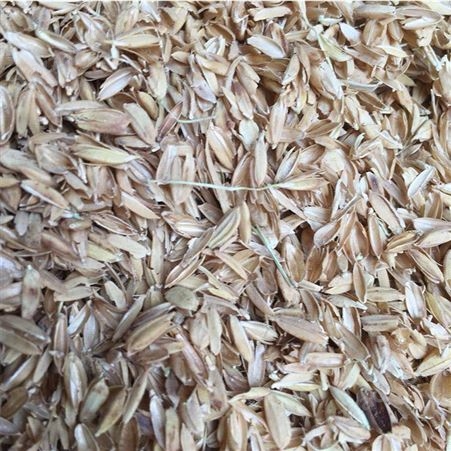 批发 养殖垫料稻壳 除尘稻糠小米糠 大棚种植改善土壤