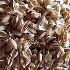 批量供应 圆粒稻壳 栽培基质稻壳  大棚种植改善土壤