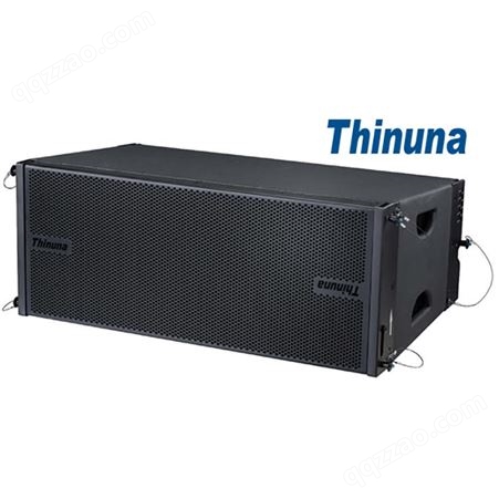 Thinuna L-210 两分频双10寸线性阵列音箱