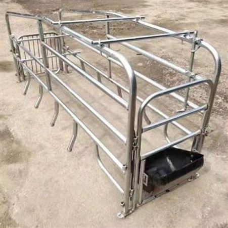 0.6m限位栏 母猪定位栏 强星畜牧猪用定位栏生产厂家