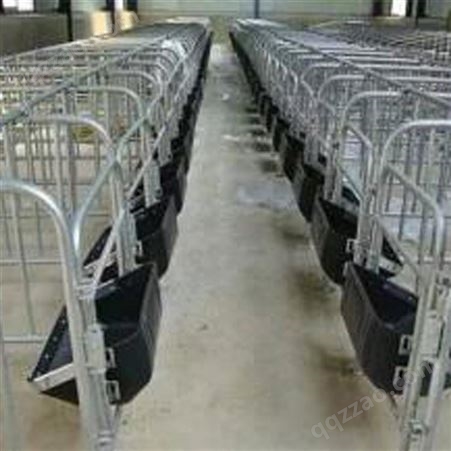 0.6m限位栏 母猪定位栏 强星畜牧猪用定位栏生产厂家
