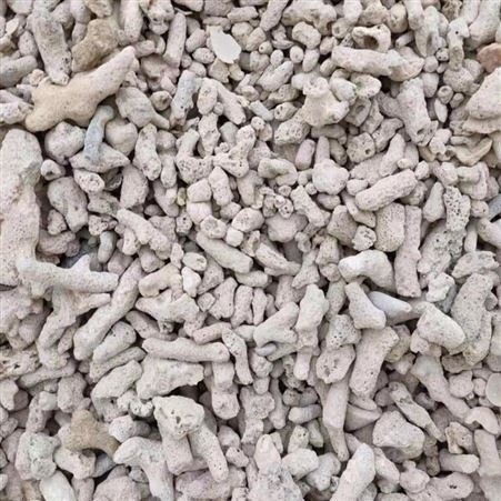 珊瑚砂生产厂家