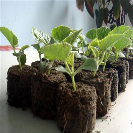 育苗基质 无土栽培专用基质扦插营养土