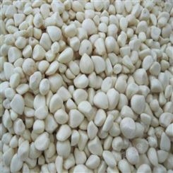 长期供应出口级 速冻蒜米