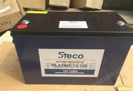 法国时高蓄电池PLATINE12-65 时高蓄电池12V65AHSTECO电瓶