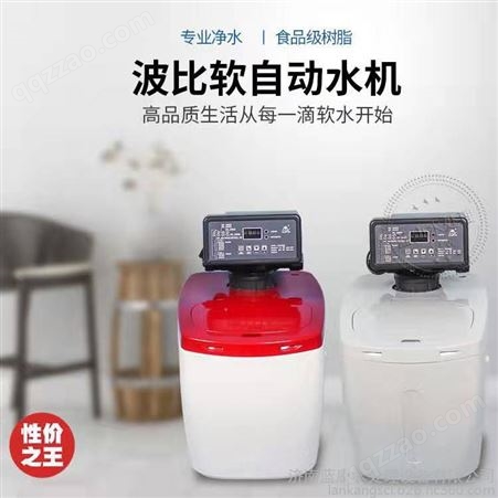 盛世蓝康SSLKSN-0.5T 经济型一体软水机 1000元以内 便宜实惠型家用厨下式卫生间洗浴软水机