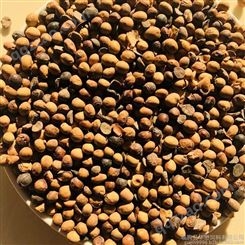 现货供应发酵大豆 土壤有机肥料 腐熟发酵大豆有机肥大豆
