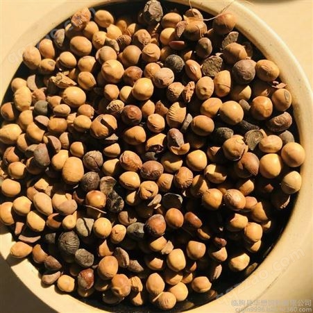 现货供应发酵大豆 土壤有机肥料 腐熟发酵大豆有机肥大豆