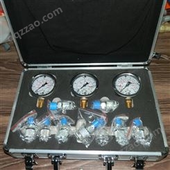 液压测压盒 工程机械测压表 压力检测盒 进口液压压力测压盒 威聚流体