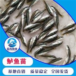 广东加州鲈鱼苗批发价格养殖技术指导 蓝海渔业