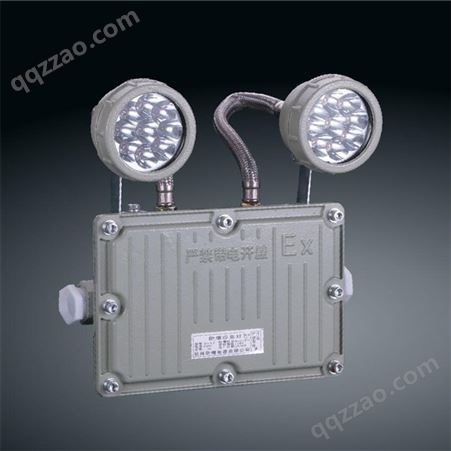 小型应急电源双头照明  工程 电源照明双头灯具  广东凯雷德灯具厂家