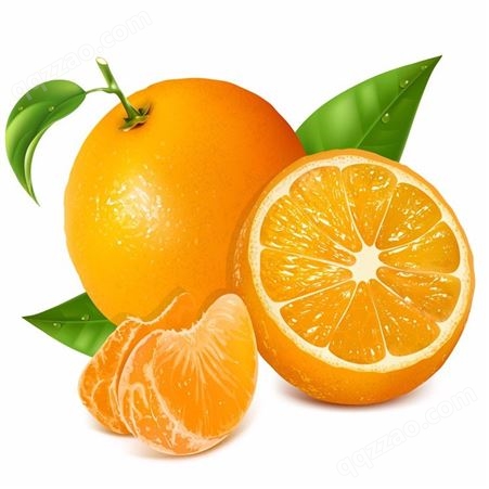 椰果罐头  葡萄罐头 橘子罐头 蒙水水果罐头  质量放心
