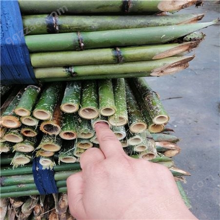 2米-3米豆瓜扦批发 2.5米竹扦 竹菜架 江西竹竿厂家自产自销