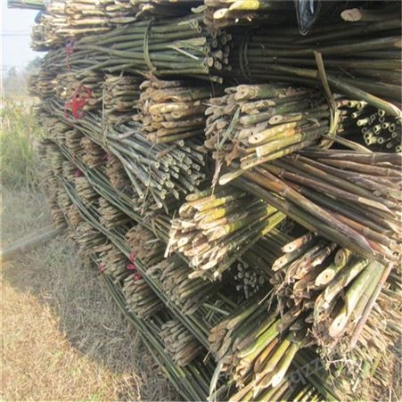 大量供应2米5米及2米7豆架竹竿
