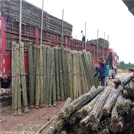 1米-3米竹架条 2米-3米竹竿尖 4米-6米香菇架竹杆 7米-9米大棚竹
