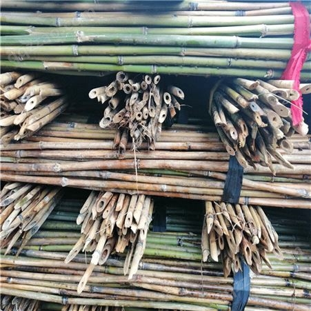 2米5菜竹竿 3米小竹竿 蔬菜架竹竿 树苗支撑杆 京西竹业 江西发货