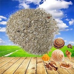 贝壳粉  恒泰厂家供应硅藻泥  涂料贝壳粉   欢迎咨询
