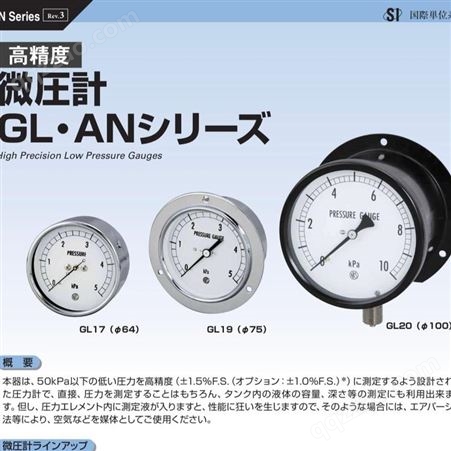 日本长野计器NKS AN10温度计GL21