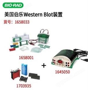 Bio-Rad 美国进口伯乐小型垂直电泳套装1658033
