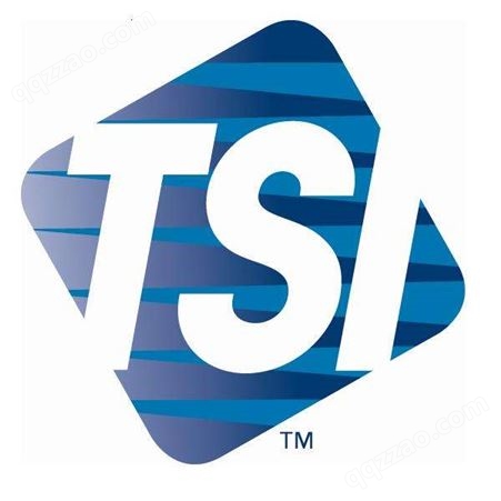 TSI9515风速仪 手持数字热线式风速测量仪
