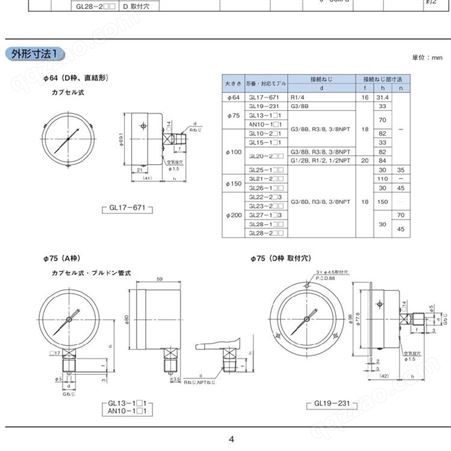 日本长野计器NKS AN10温度计GL21