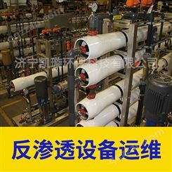 反渗透设备运行维护 确保出水合格 废水处理工业超纯水大产量机组运维 凯璇
