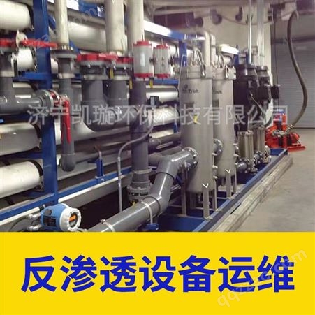 实验室废水处理系统运行维护 超纯水设备清洗更换维修 凯璇环保