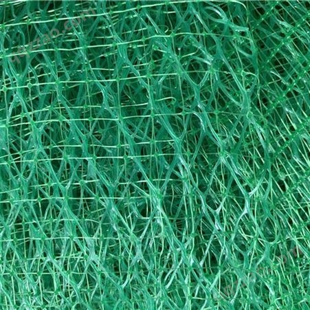 塑料草坪网设备 三维网设备 洪力达
