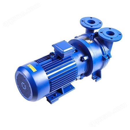 2BV2071真空泵 抽气泵 水环式真空泵 真空气体输送泵