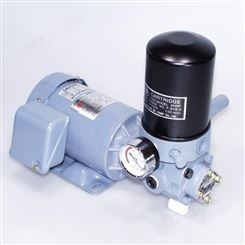 NOP油泵TOP-2MY400-210HBMPVB 带过滤器NOP油泵厂家直供