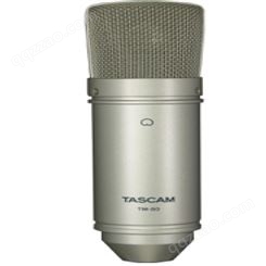 长期供应天琴 TASCAM TM-80 话筒