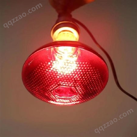 图比乐红外线灯泡 养殖灯泡加厚防水防爆红外线保温灯取暖灯仔猪保温灯