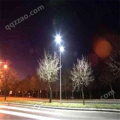 新农村建设实景 LED节能路灯 一体化照明路灯 道路灯生产厂家